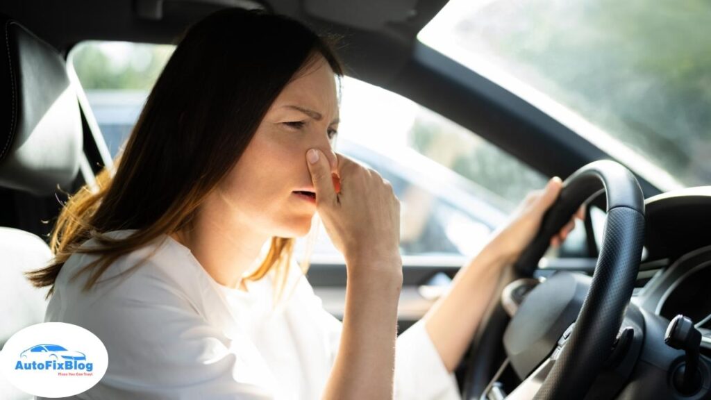 How to Get Mildew Smell Out of Car - Auto Fix Blog