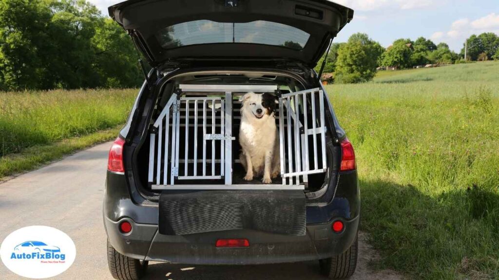 How to Keep a Car Cool for Dogs - Auto Fix Blog