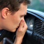 How to Get Skunk Smell Out of Car? - Auto Fix Blog