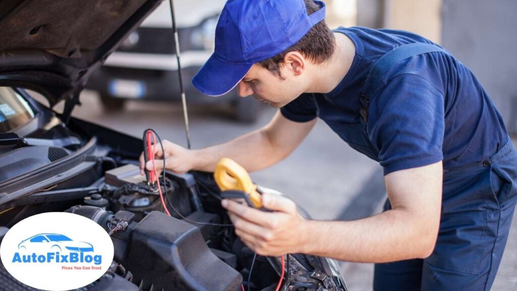 How to Keep Squirrels Out of Your Car Engine